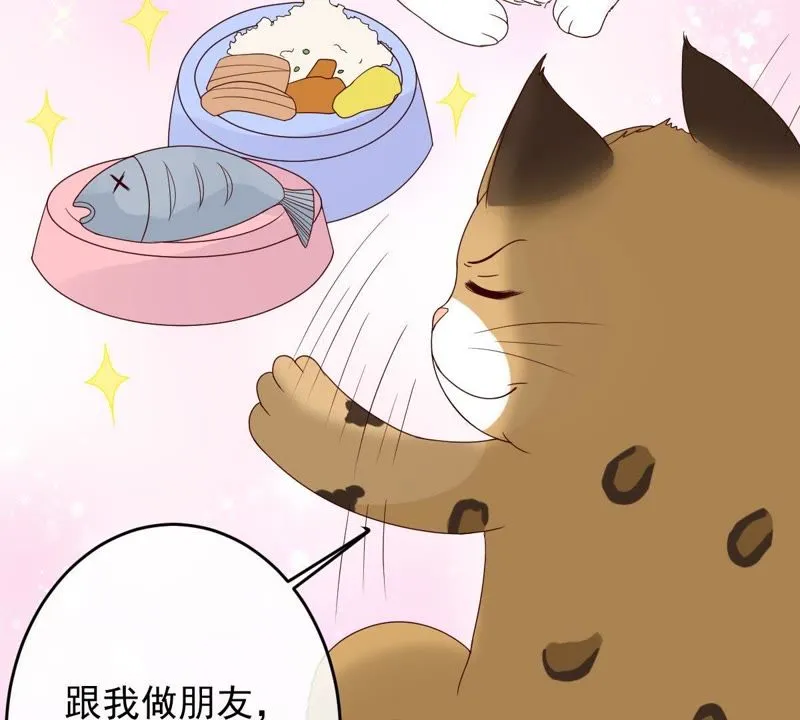 第25话 狗粮天上来 第14页