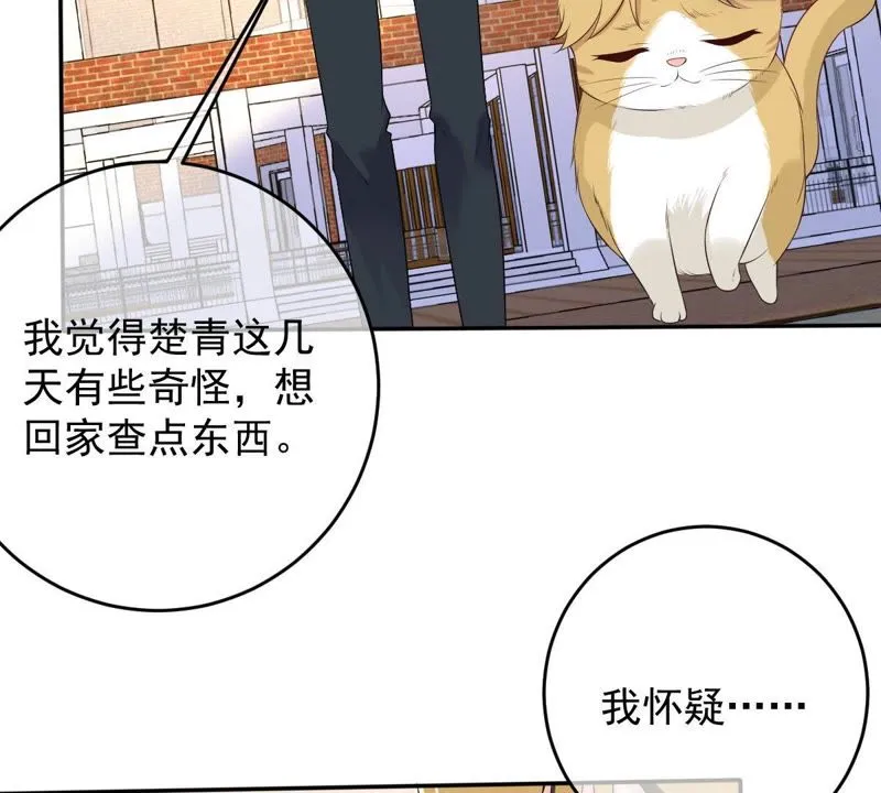 第73话 真正喜欢的人 第41页