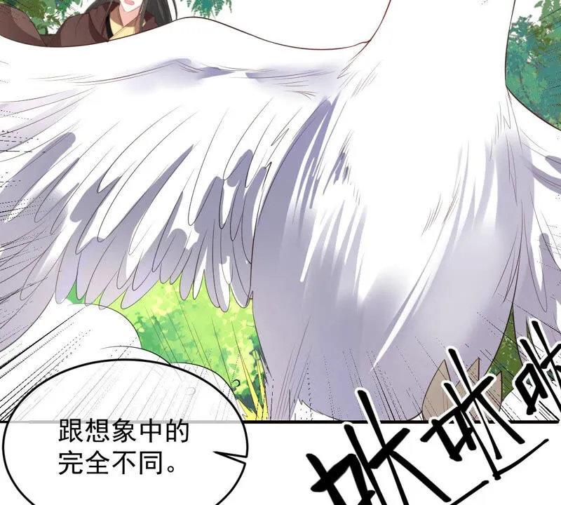 第168话 拉近关系 第41页