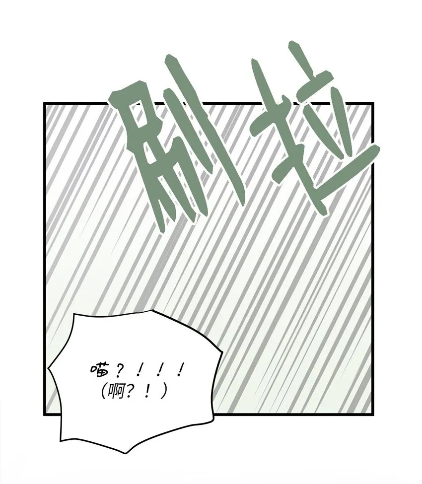 08 这只猫自带闹钟功能 第65页