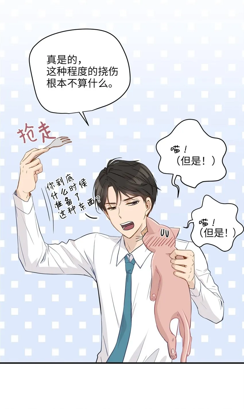 09 公司第一继承人 第5页