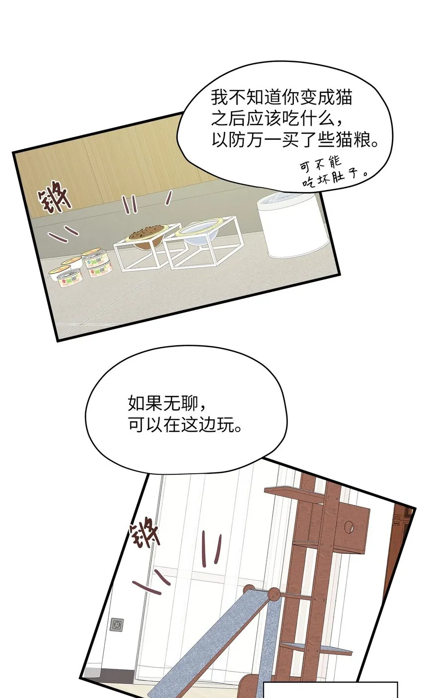 09 公司第一继承人 第9页