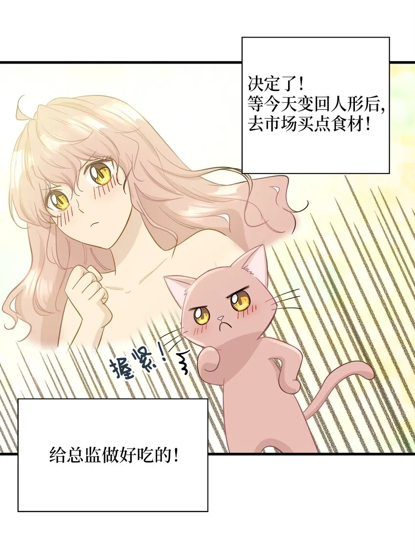 09 公司第一继承人 第17页