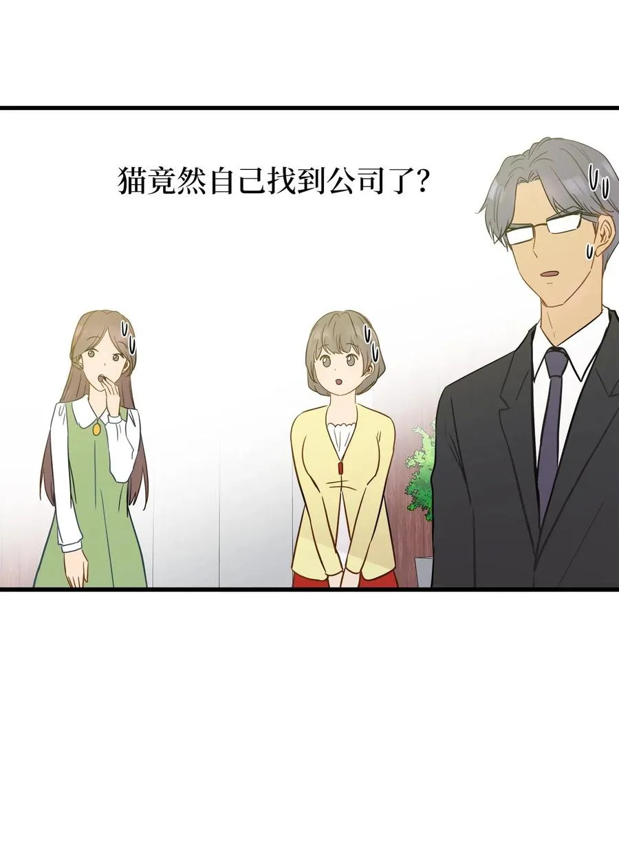 10 喵喵快递 第44页