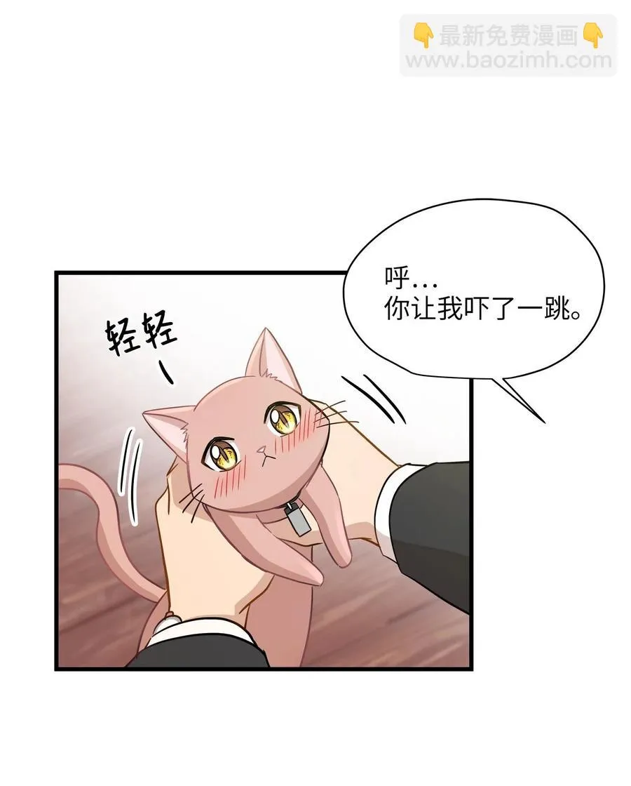 10 喵喵快递 第45页