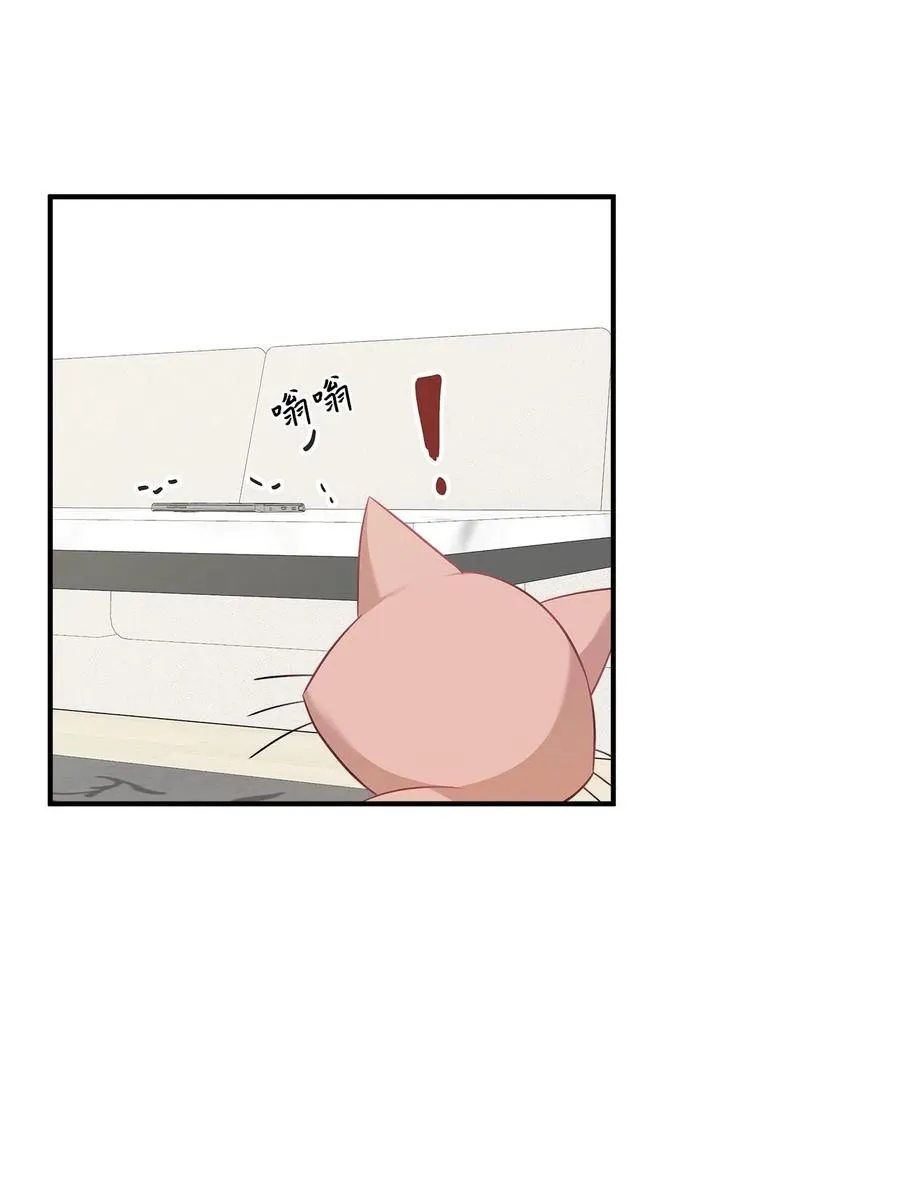 17 调查 第13页