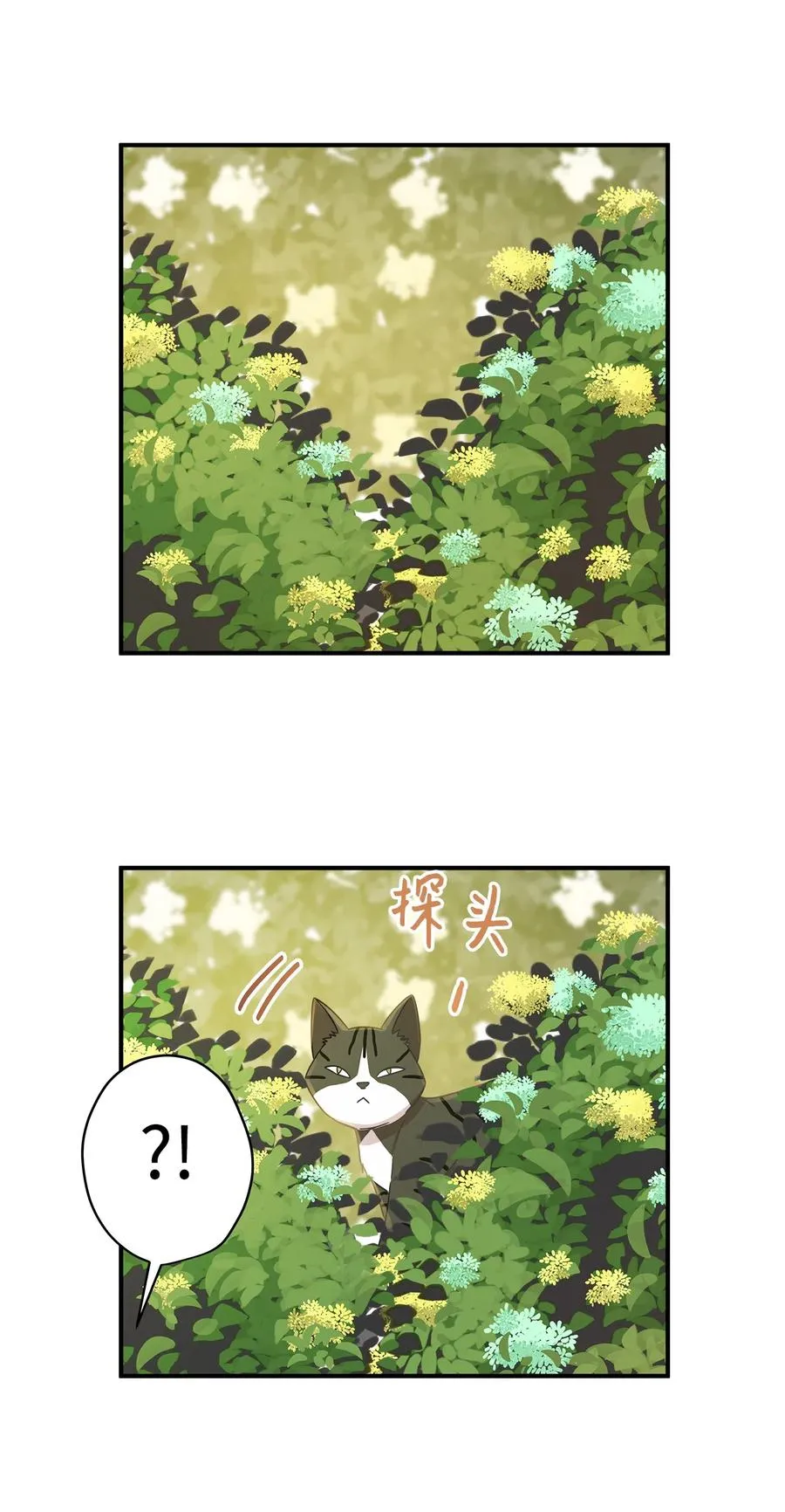 20 与权主任的不期而遇 第32页