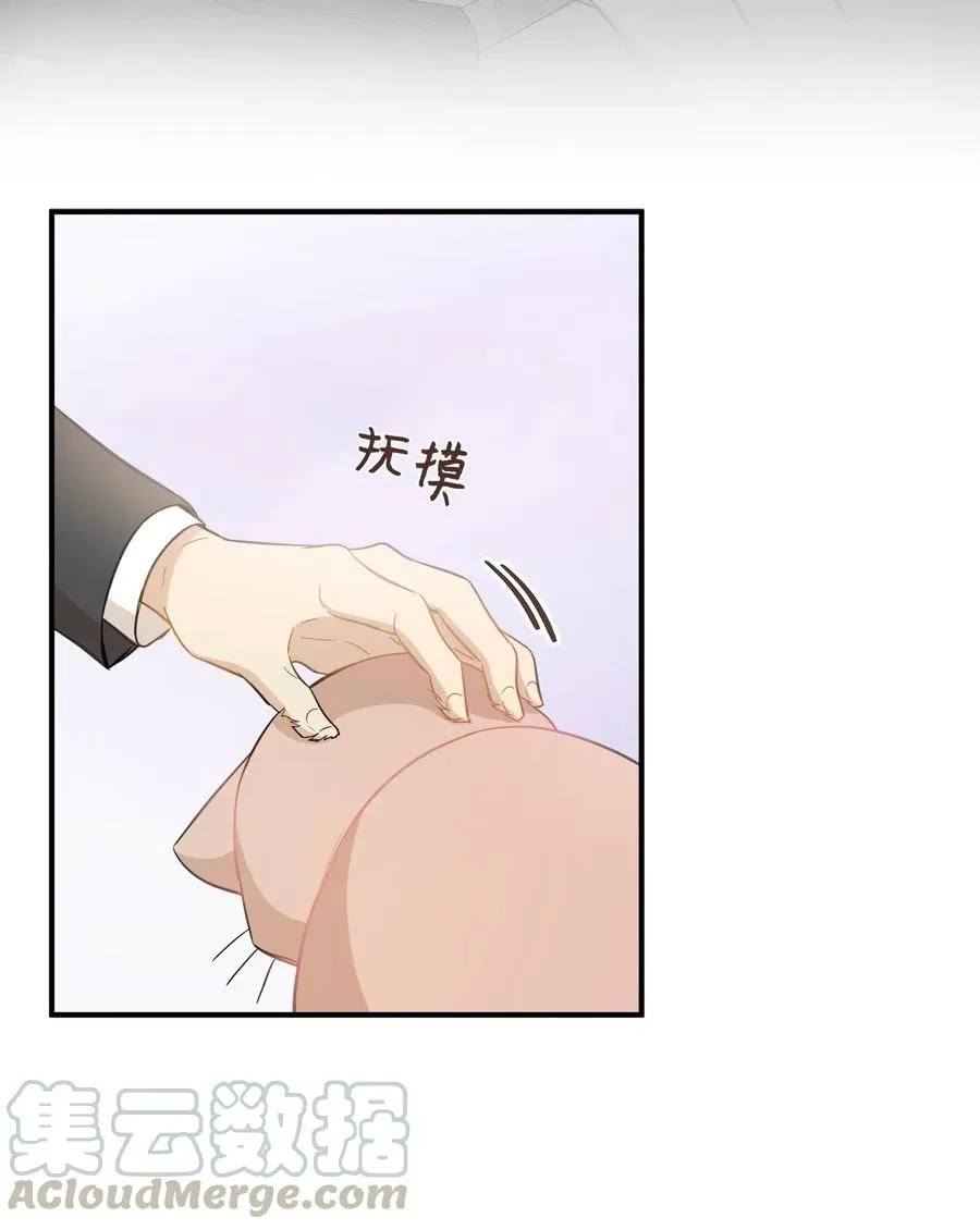 37 拒绝 第25页