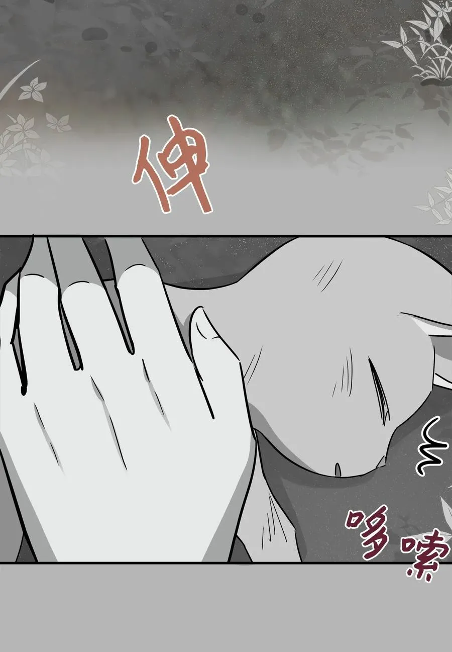 41 美美 第14页