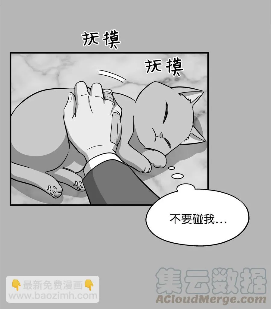 41 美美 第25页