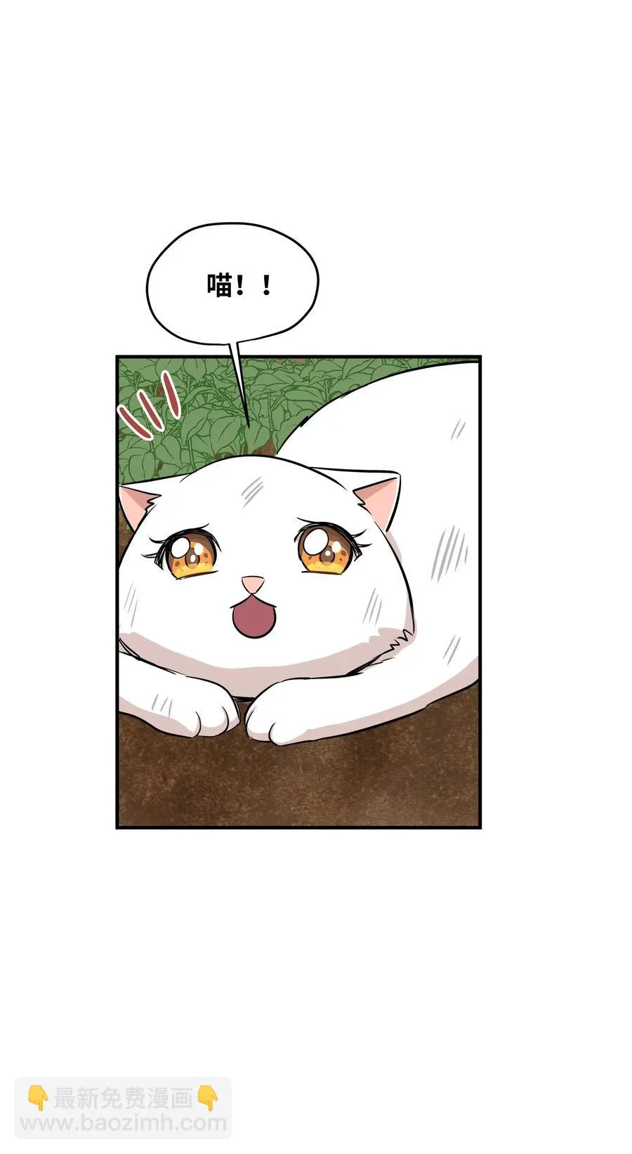 44 隋仙华 第6页