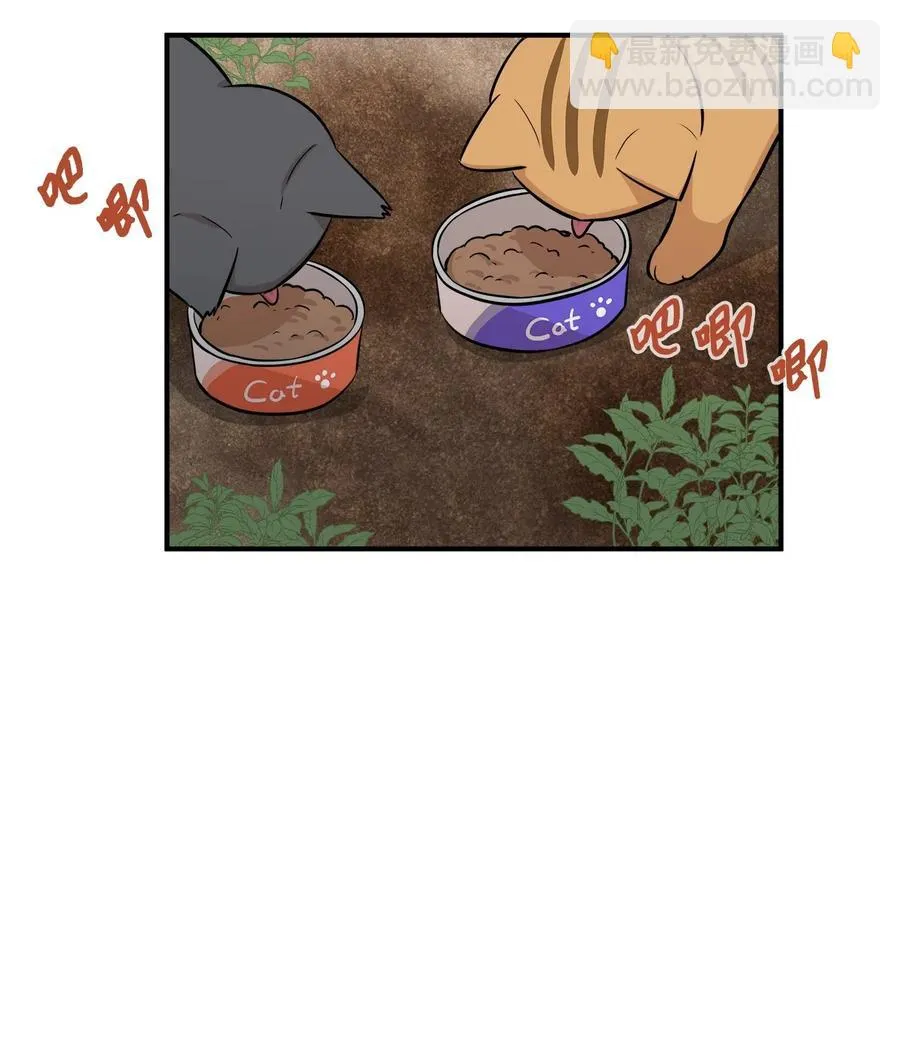 44 隋仙华 第11页