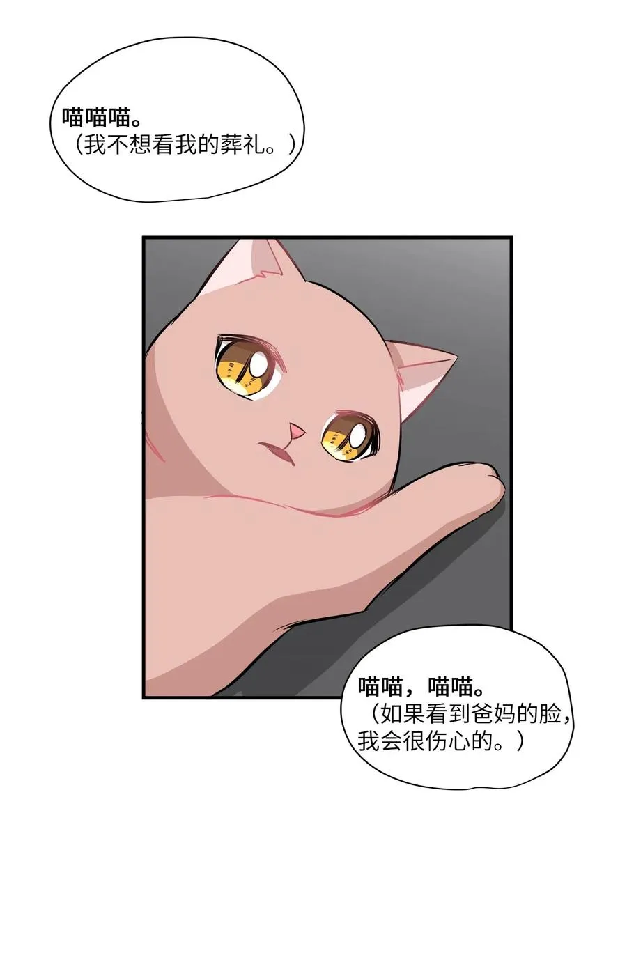 45 奔赴葬礼 第56页