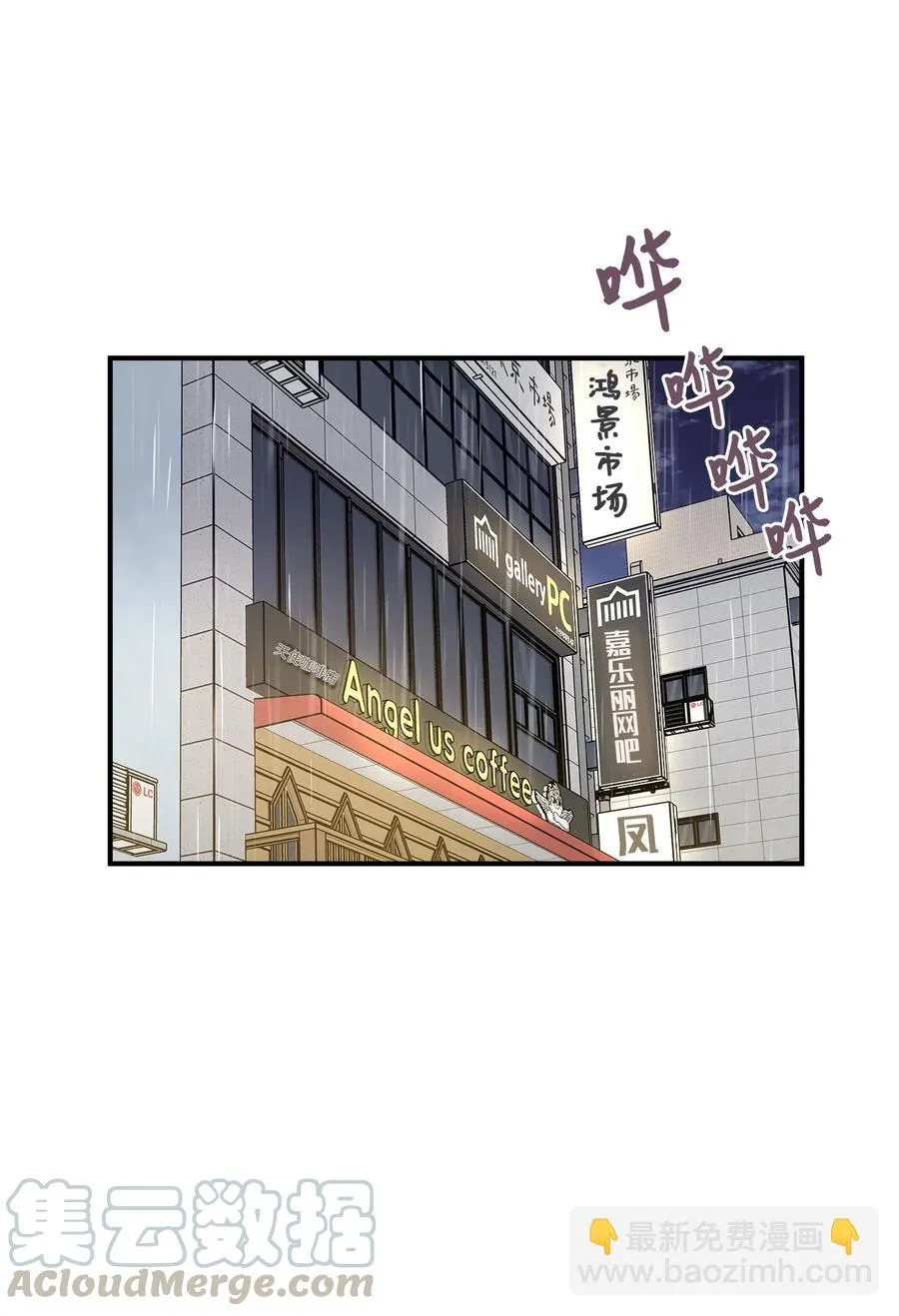55 两只猫 第13页