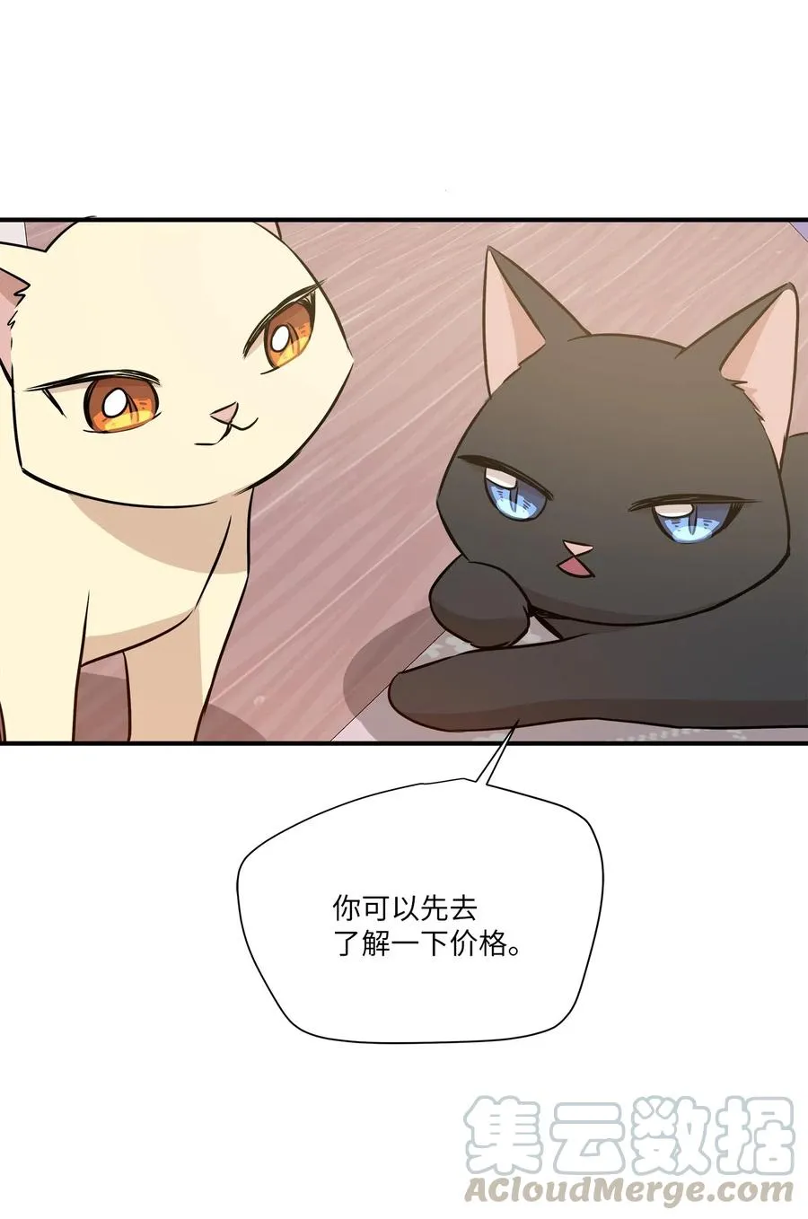55 两只猫 第49页