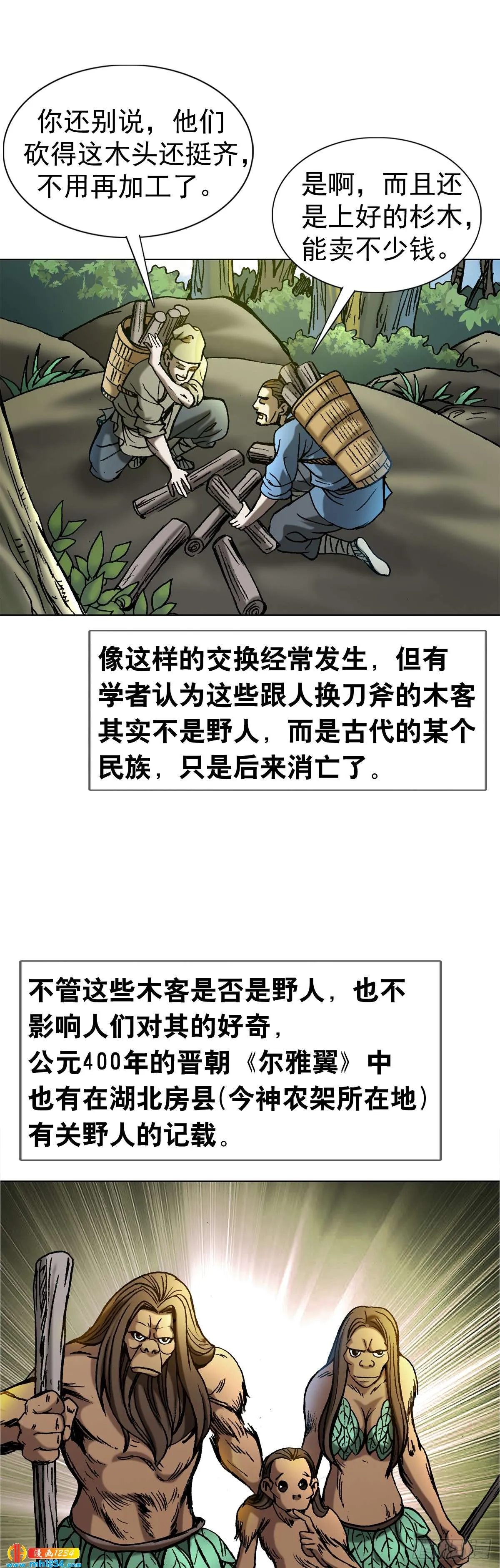 4 神农架野人 第13页