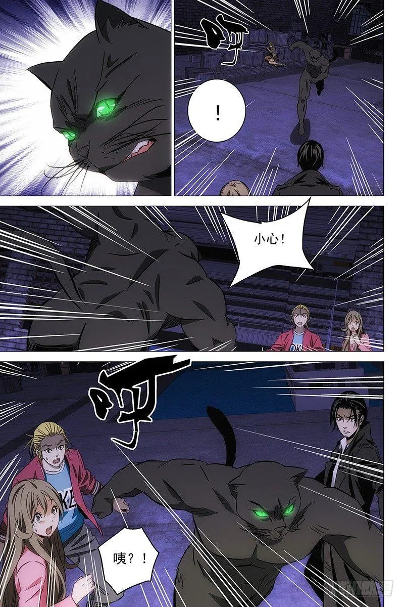 096猫面人 十四 第4页