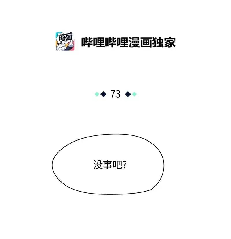 73 73 第12页