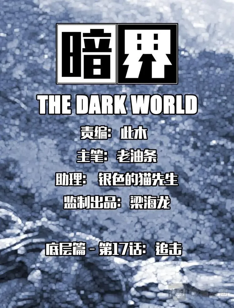 17 追击 第1页