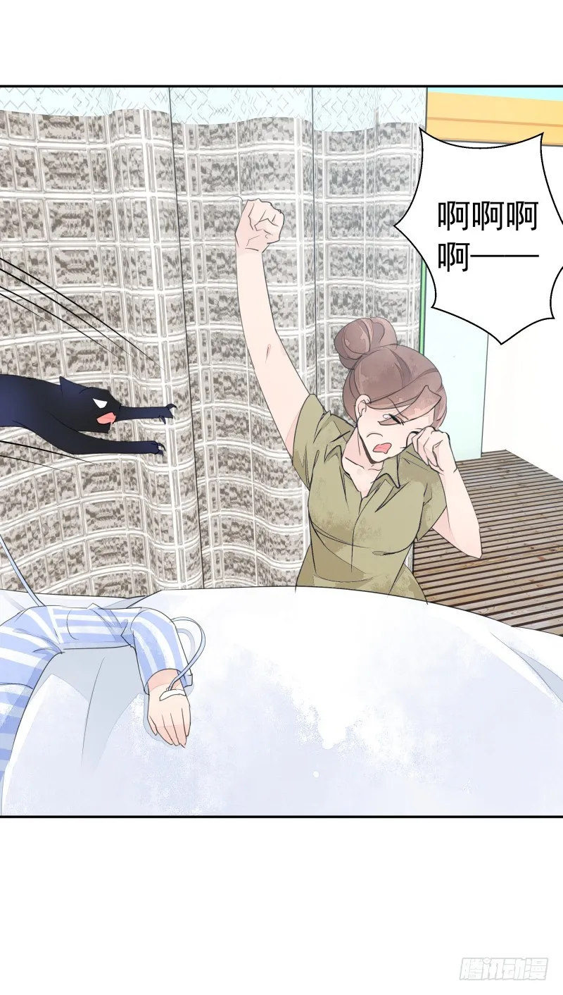 黑色猫妖 第37页