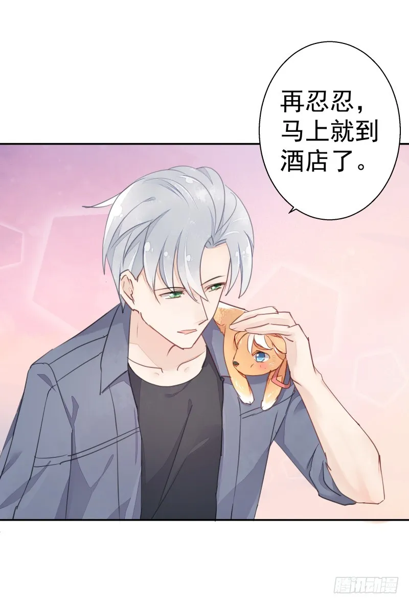 和平会议二 第49页