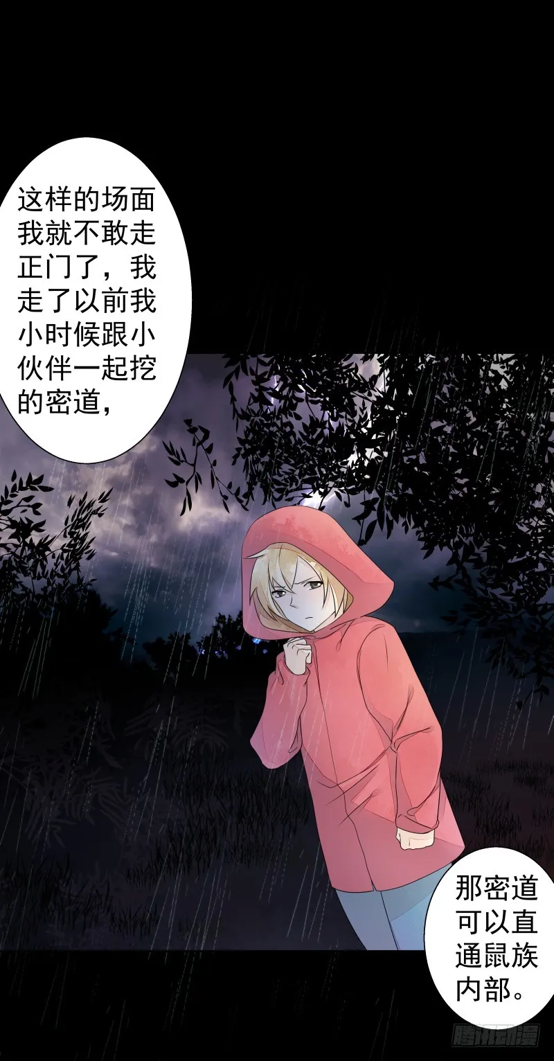 银色毒药，鼠翼 第11页