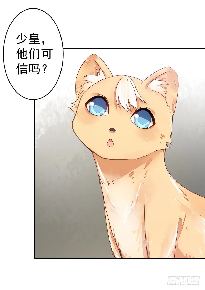 商议 第17页