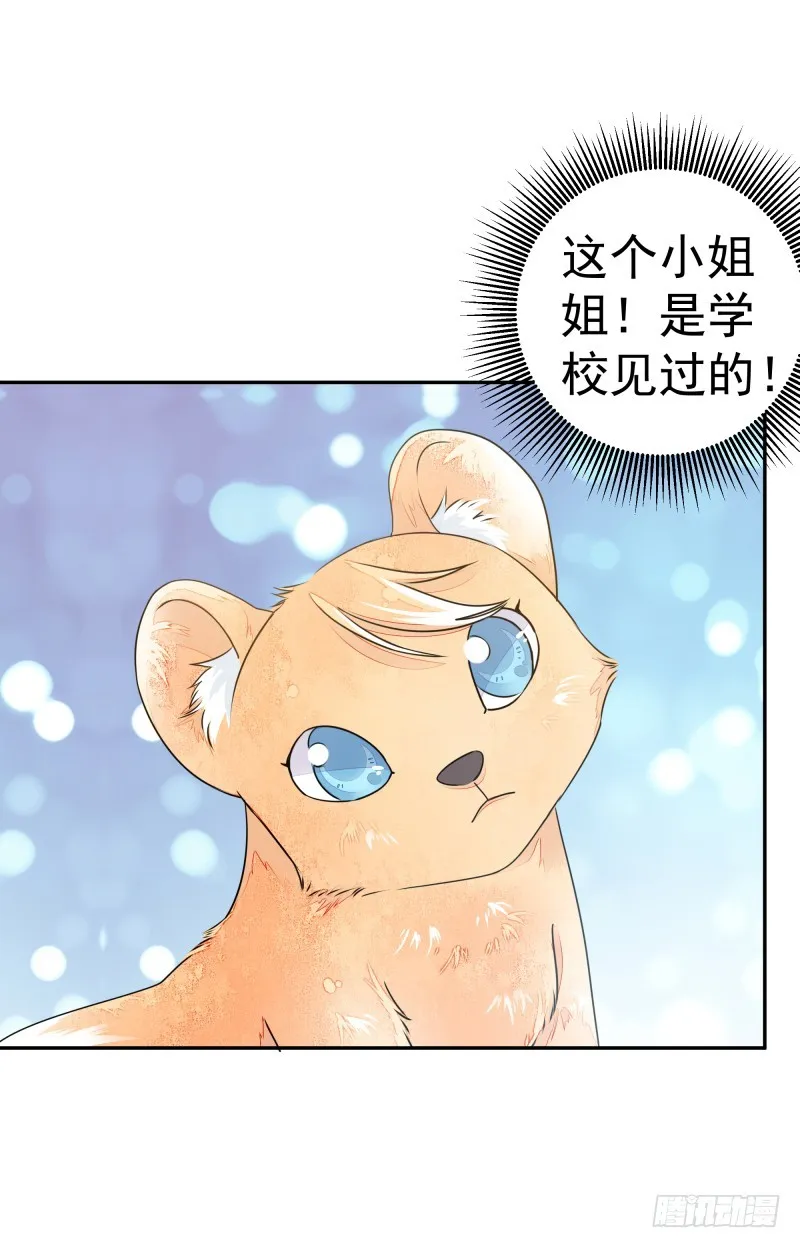 人族修士登场 第33页