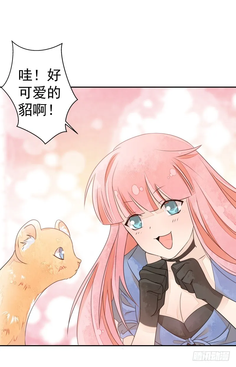 人族修士登场 第36页