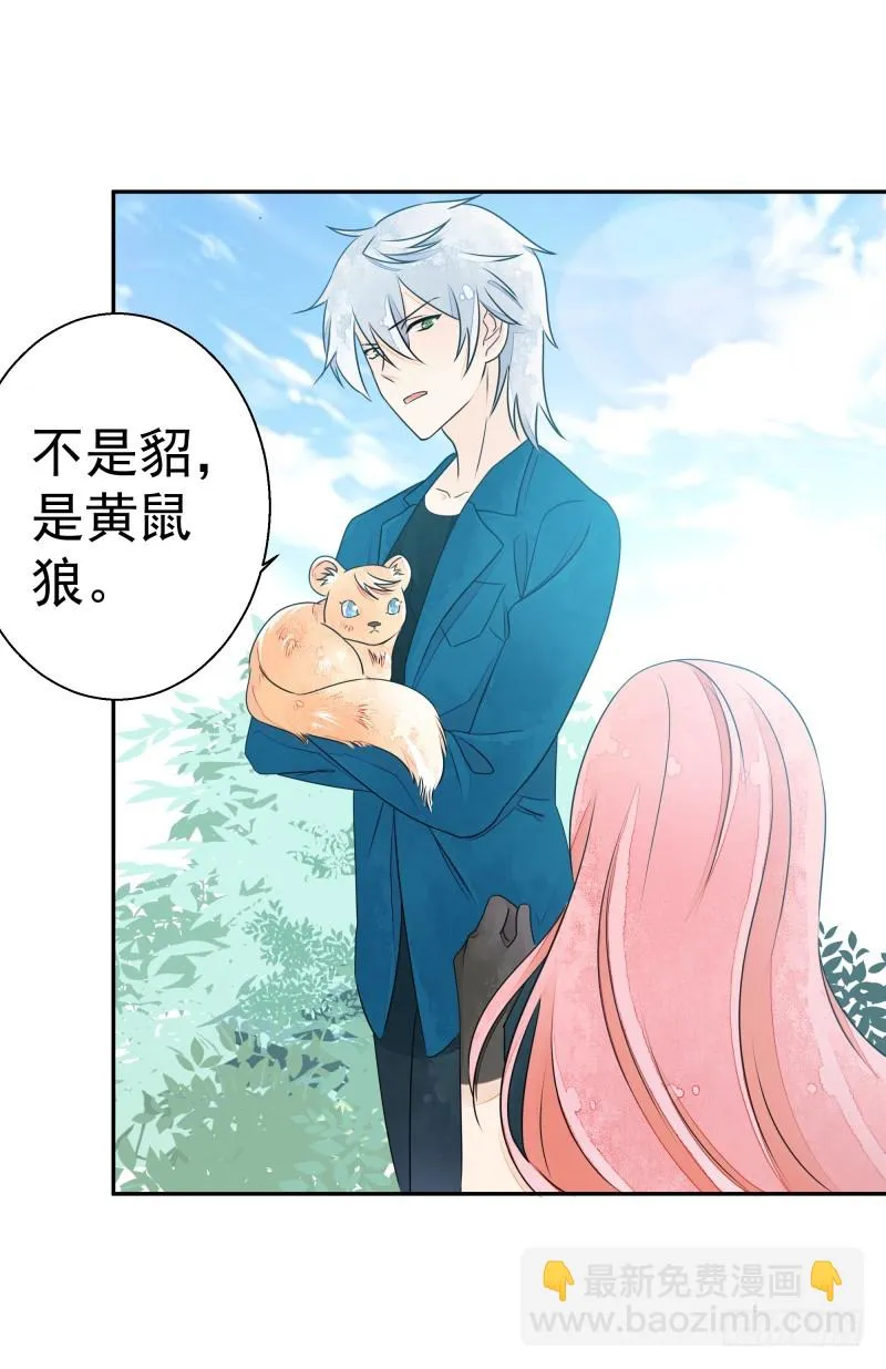 人族修士登场 第38页