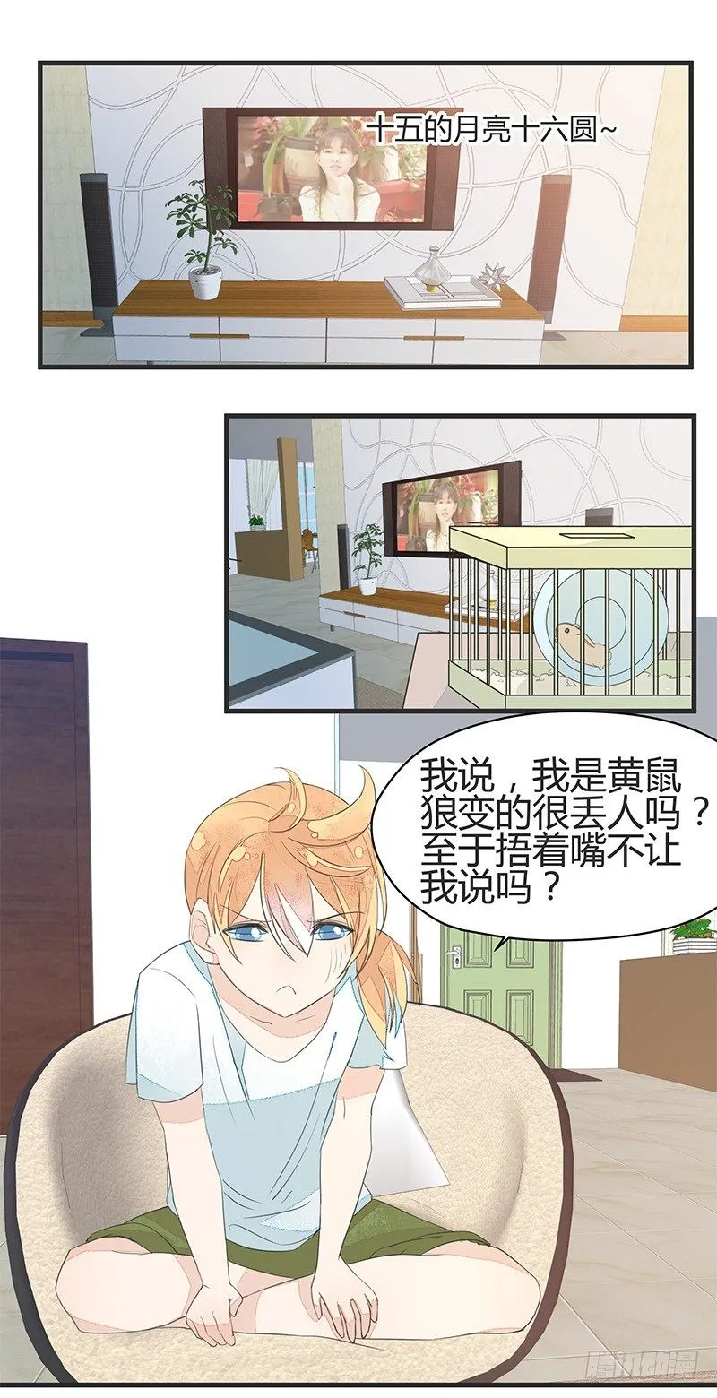 醒醒！小鸡炖蘑菇！ 第1页