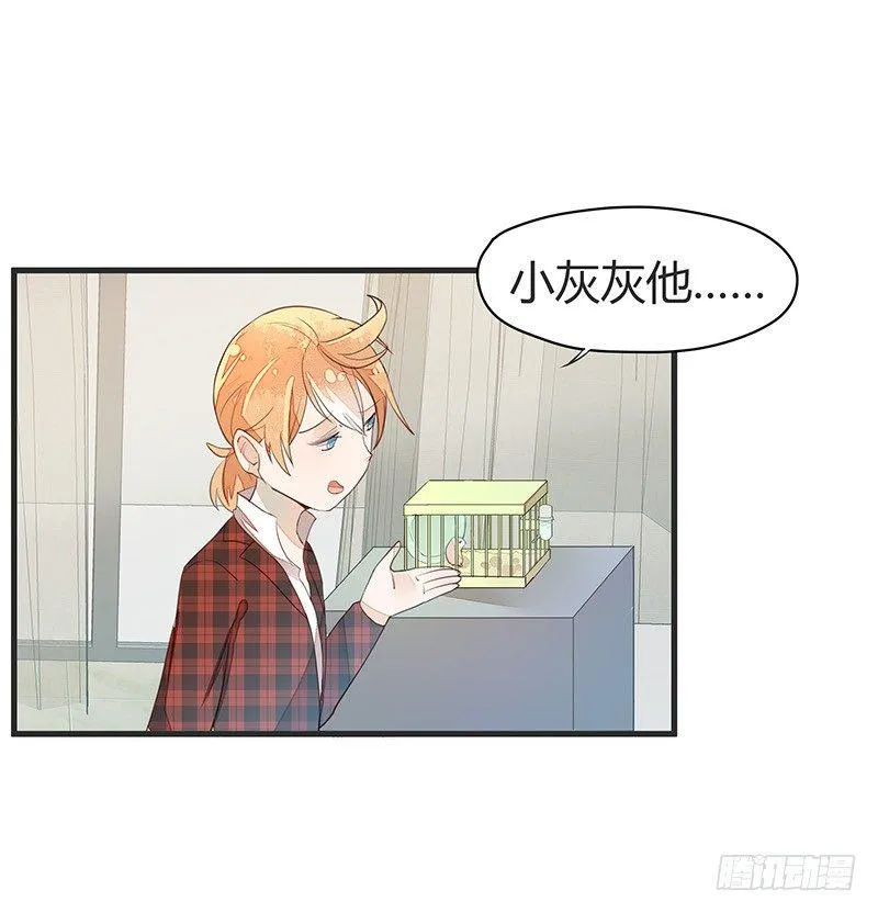 又见面了呢…… 第8页