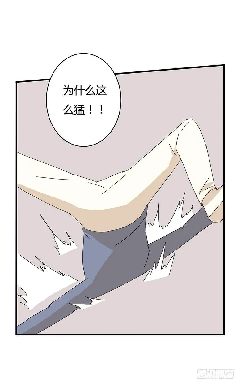 第一季 87.被揍出翔的林鸫 第11页
