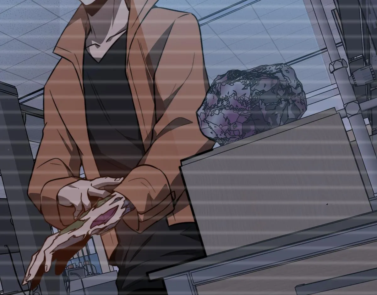 056话 玄拳理解升级 第16页