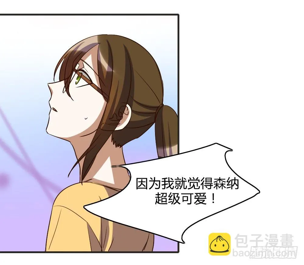 森纳的想法 第3页