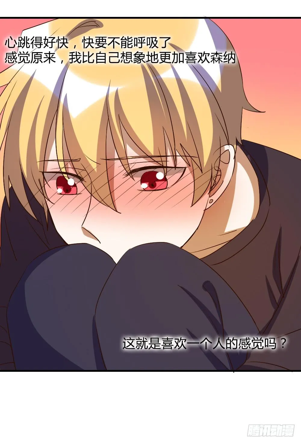 森纳的想法 第28页