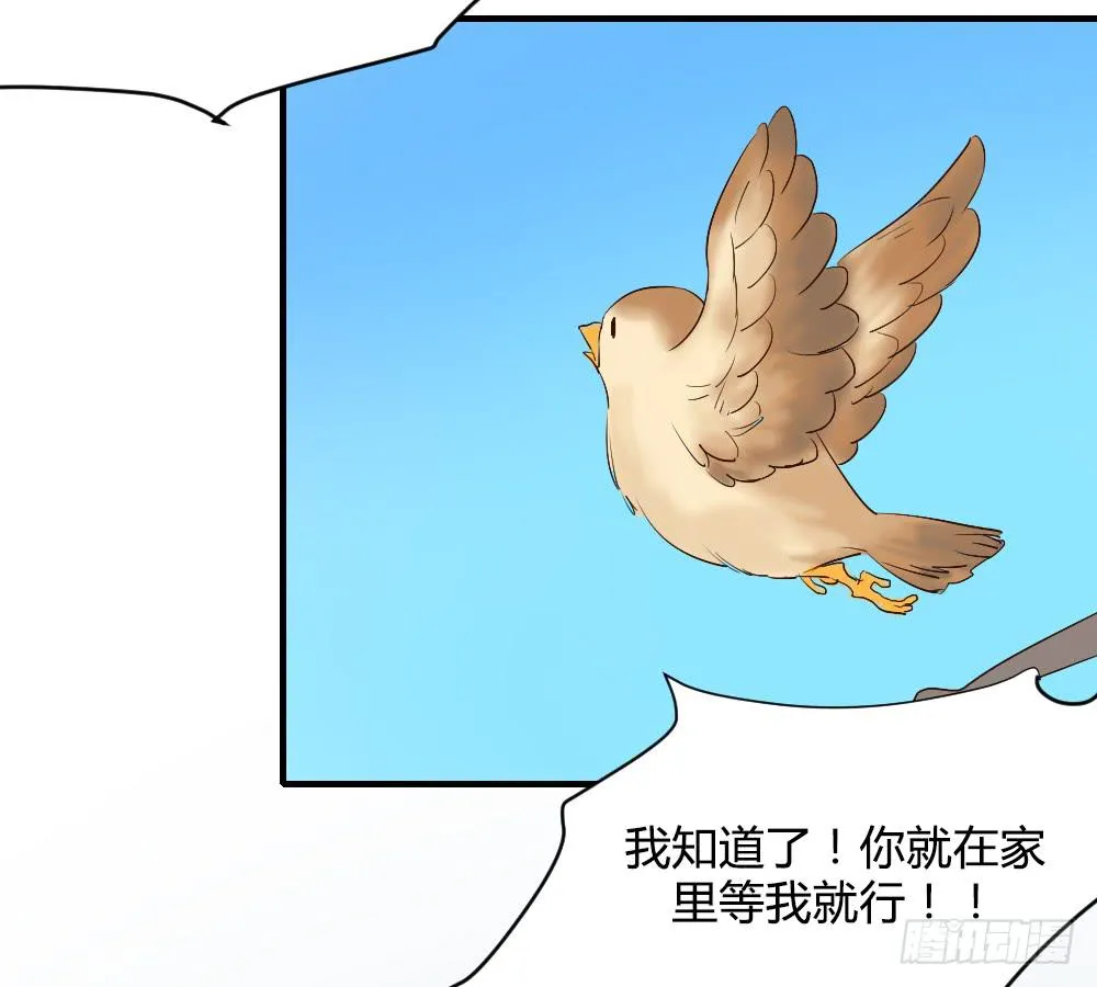 想要偷偷去看你 第14页