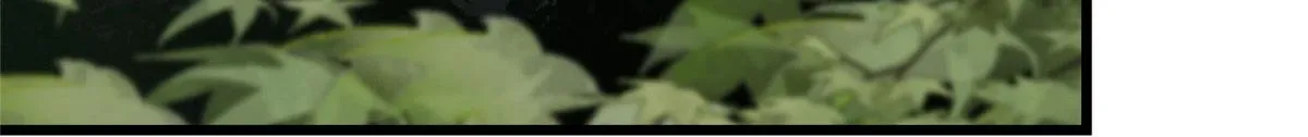 82 没有人是无辜的 第61页