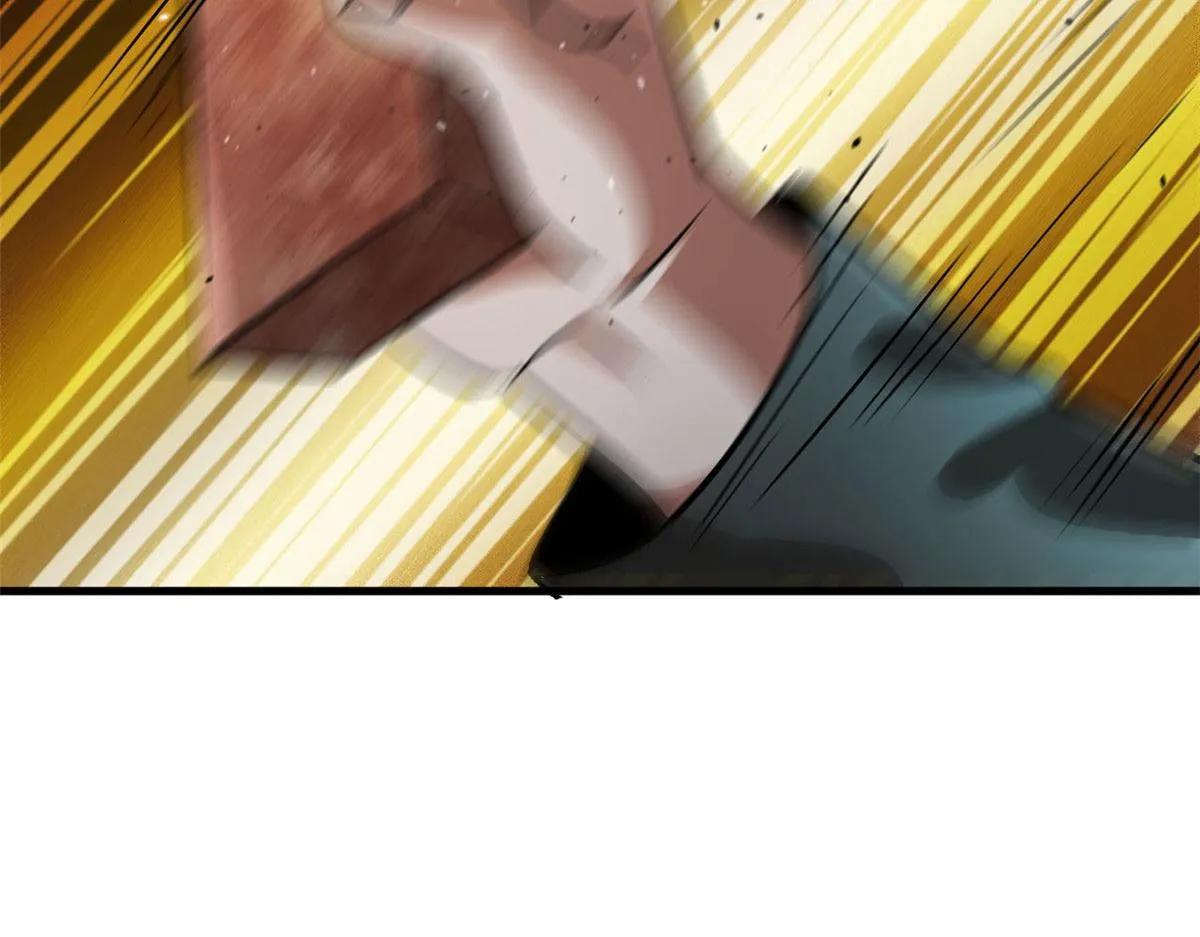 81 猪群 第6页