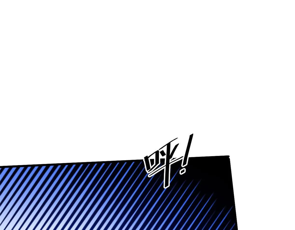 81 猪群 第12页