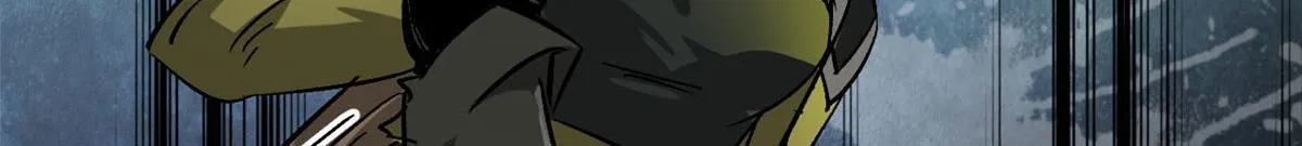 81 猪群 第22页