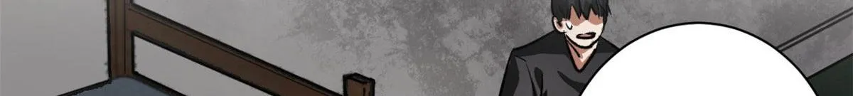 81 猪群 第28页