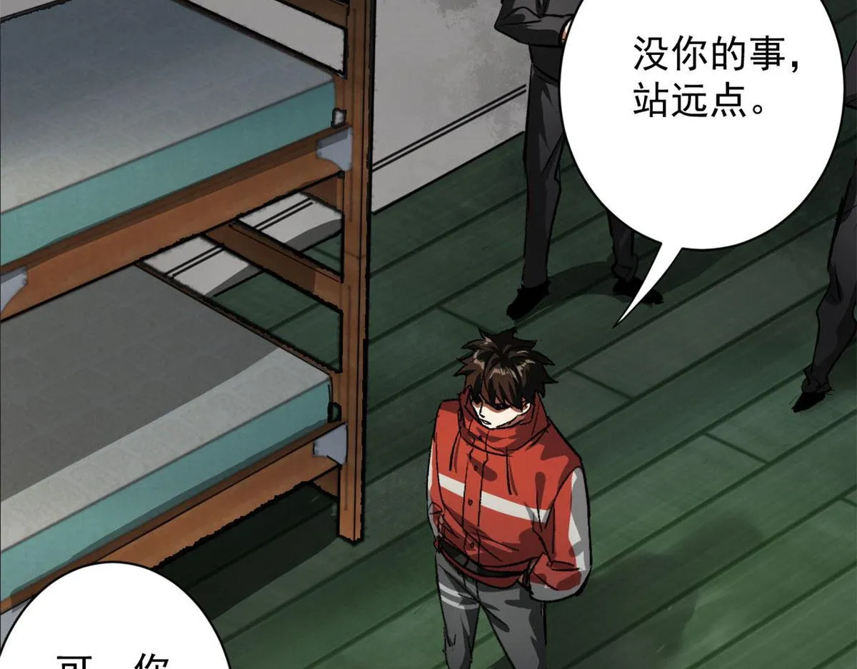 81 猪群 第29页