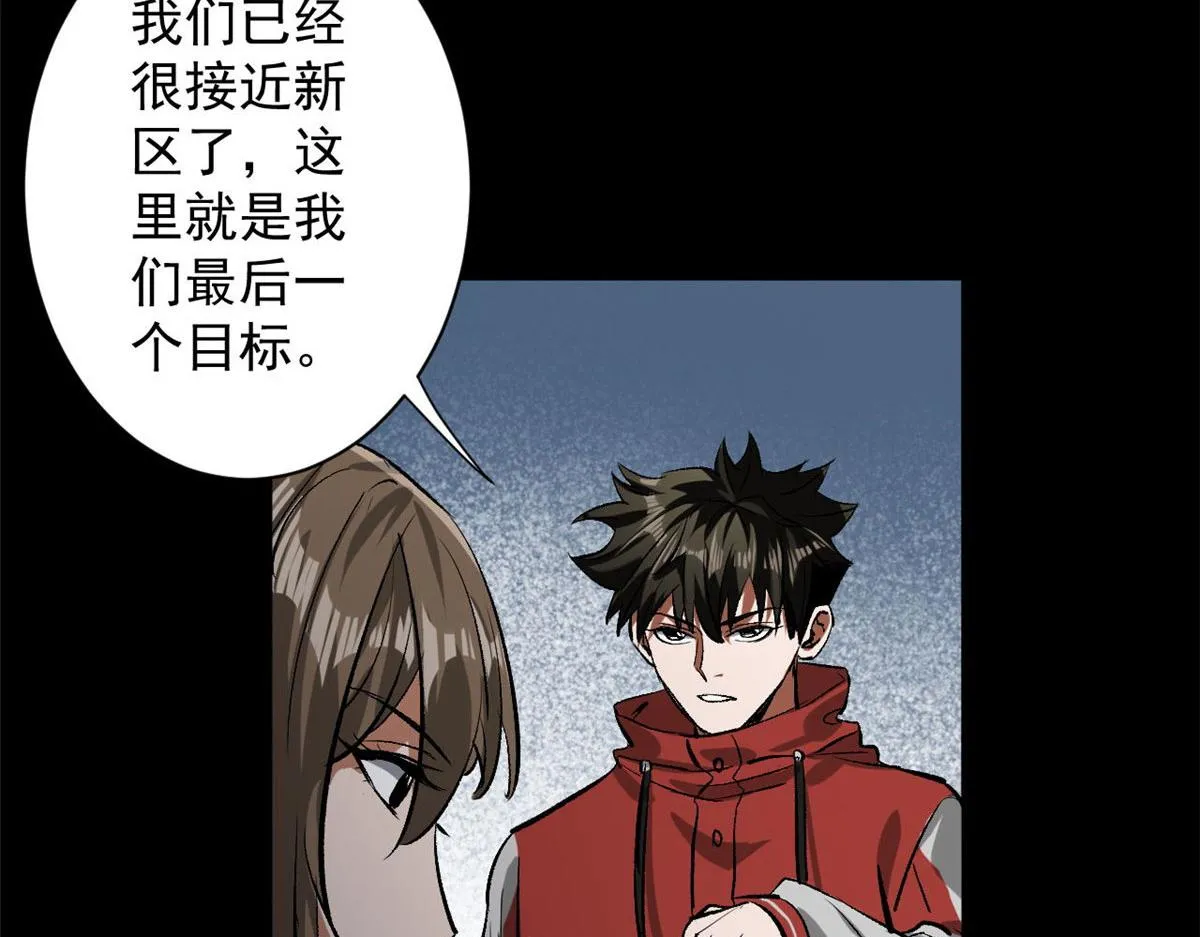 81 猪群 第96页
