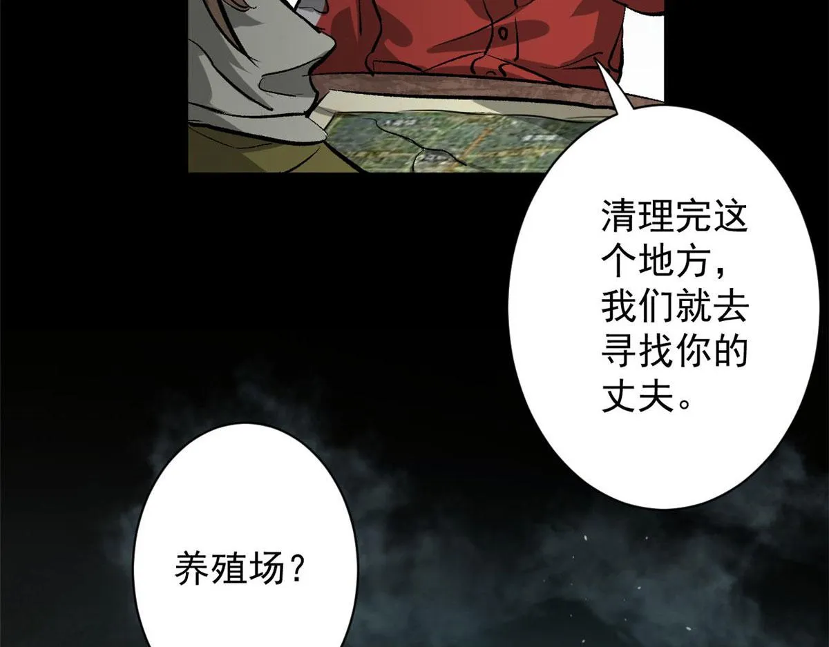 81 猪群 第98页