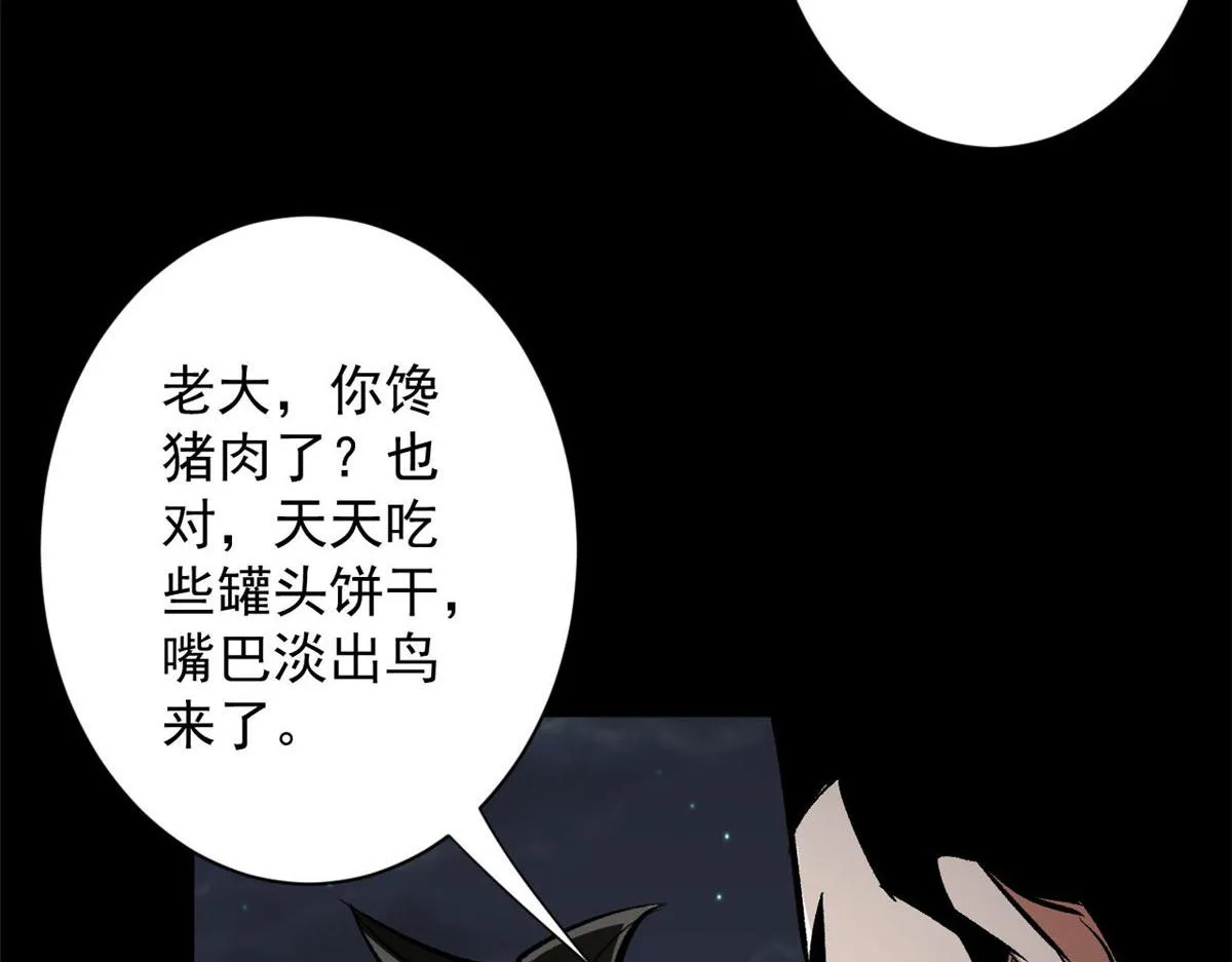 81 猪群 第102页