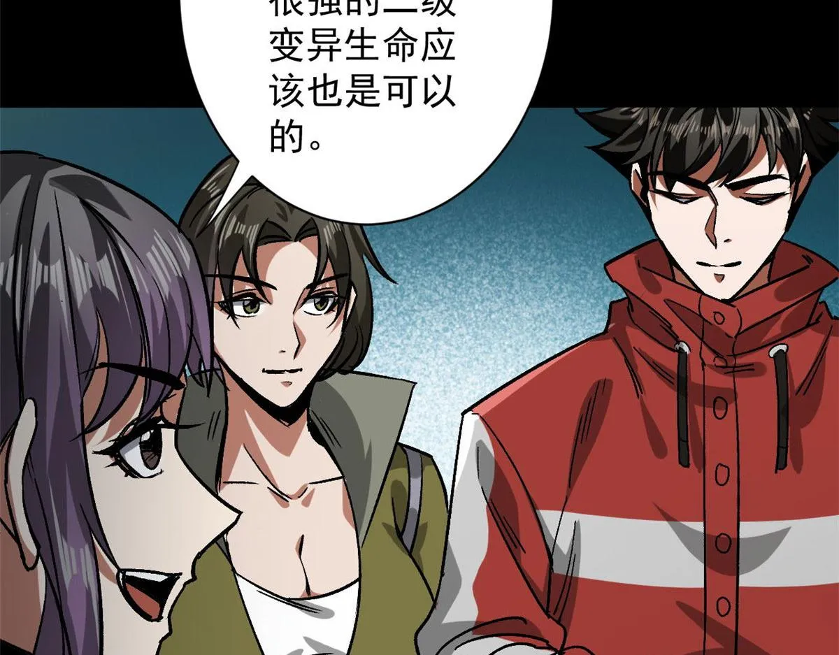 81 猪群 第111页