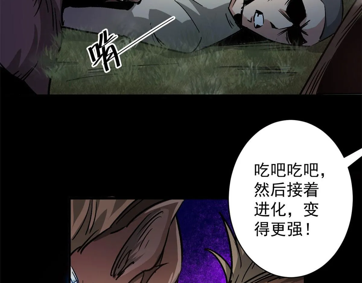 81 猪群 第135页
