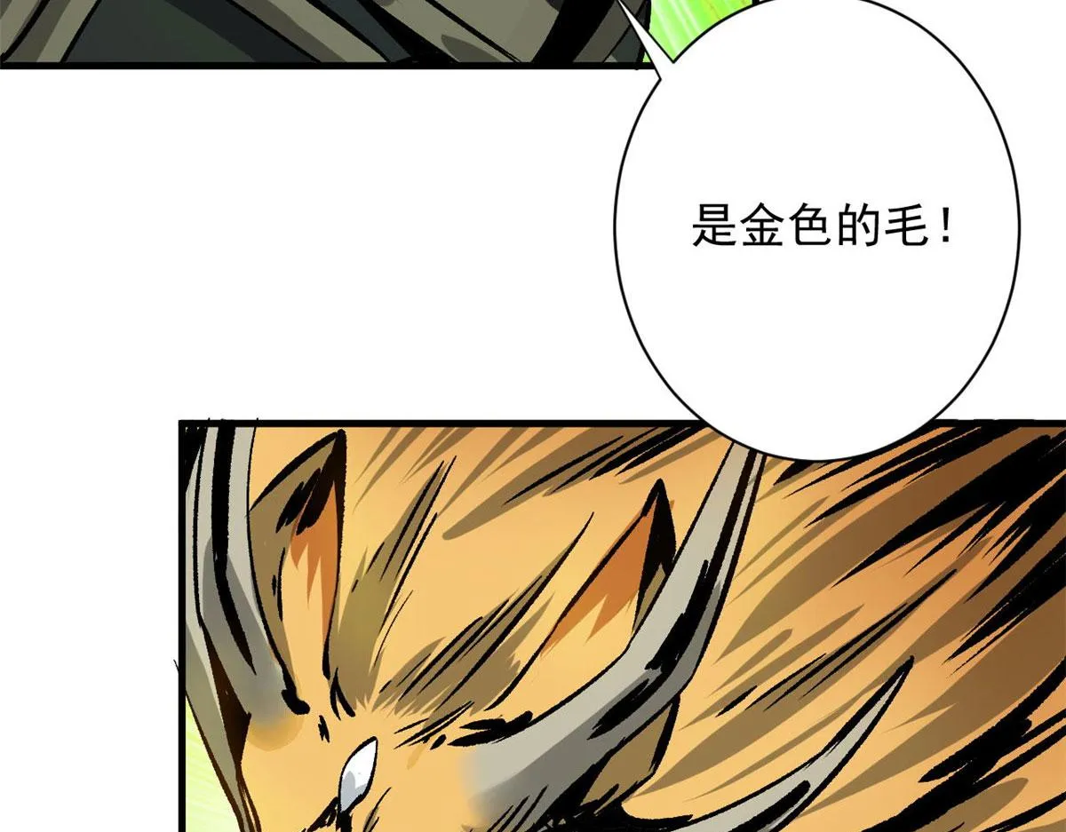86 二阶进化 第25页