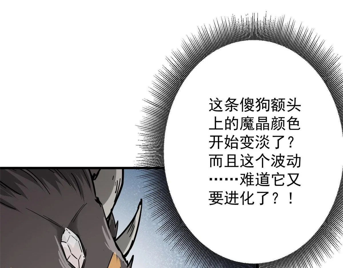 85 新区基地 第53页